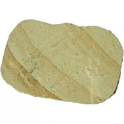 Mint Fossil Stepping Stone